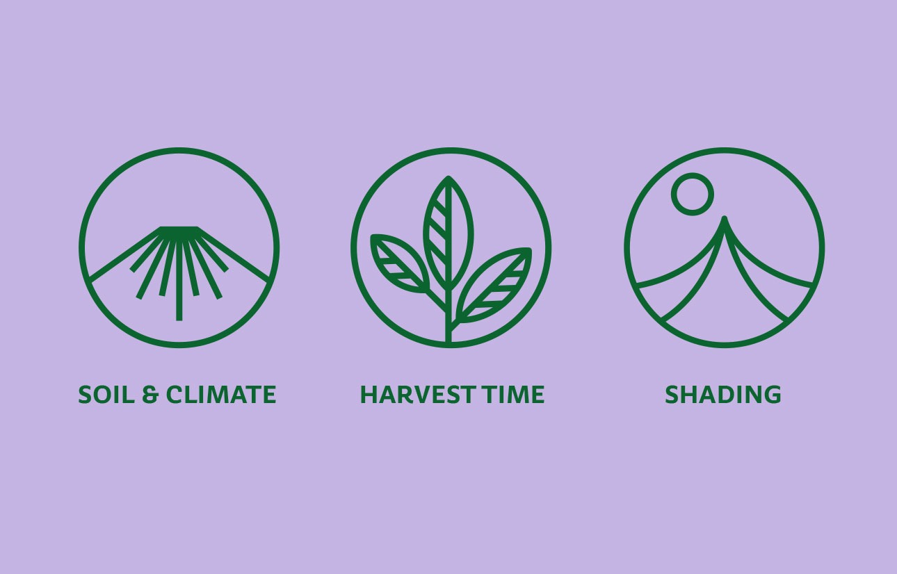 Origin-Stories_1290x826_04